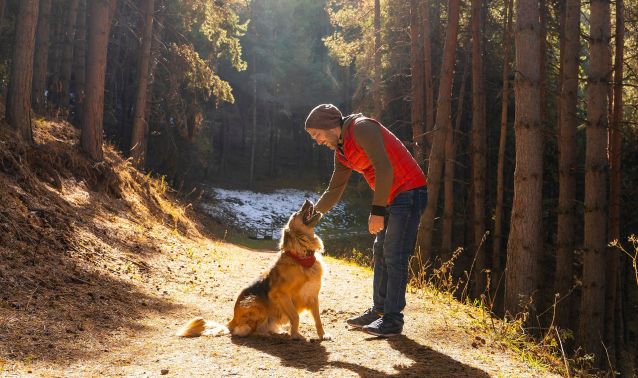 Financial Guidance Blog 1920x1280