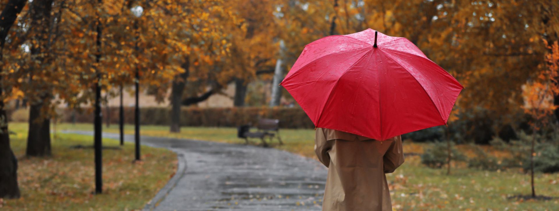 Red umbrella shielding rain