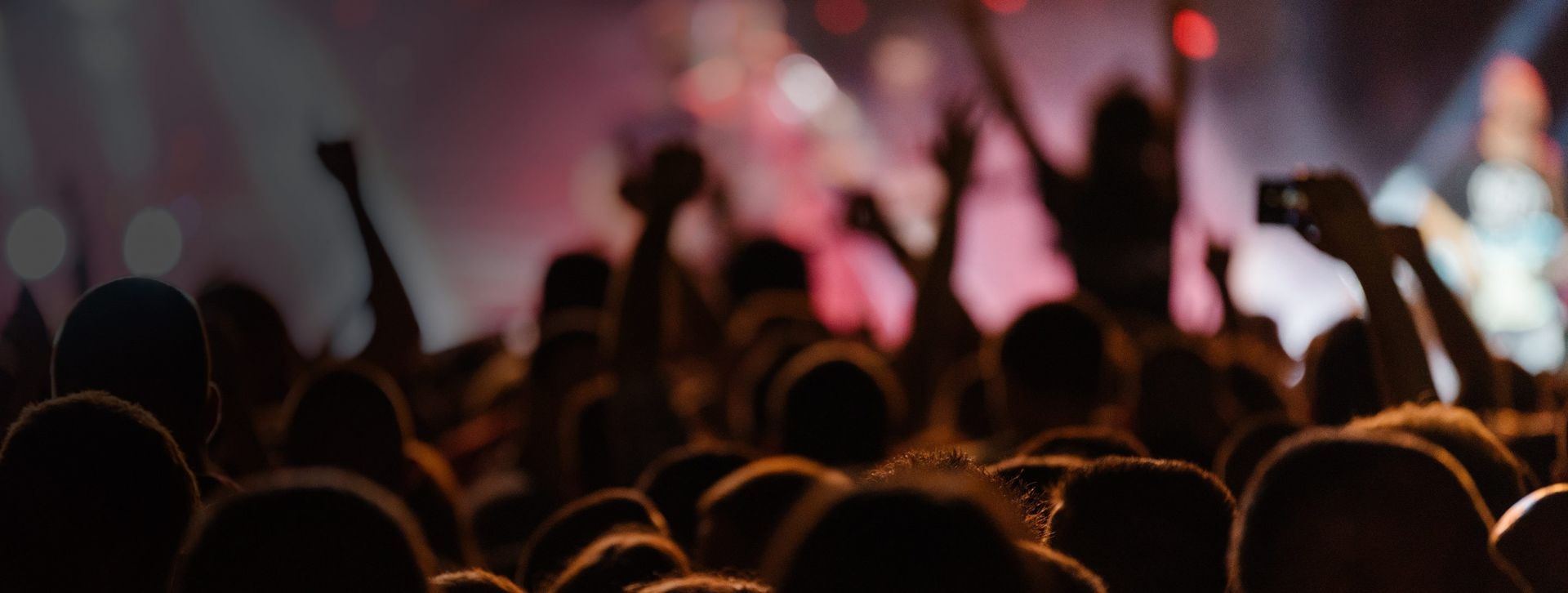 People enjoying a concert